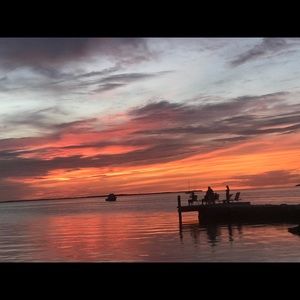 Meet your Posher, Carina